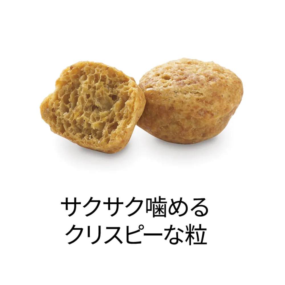 デンタルケア スナック サーモン味 - ピュリナ デンタライフ キャット